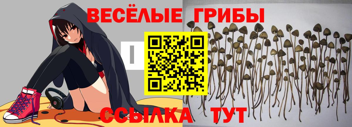 Псилоцибиновые грибы ЛСД Коркино